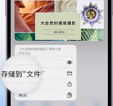 托克托apple维修中心分享iPhone文件应用中存储和找到下载文件