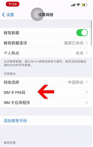 托克托苹果14维修网分享如何给iPhone14的SIM卡设置密码 