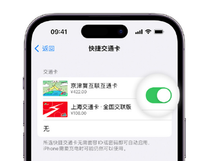 托克托apple维修点分享iPhone上更换Apple Pay快捷交通卡手绘卡面 