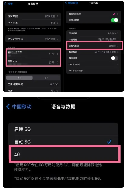 托克托苹果手机维修分享iPhone14如何切换4G/5G? iPhone14 5G网络切换方法 