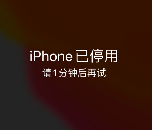 托克托苹果手机维修分享:iPhone 显示“不可用”或“已停用”怎么办？还能保留数据吗？ 