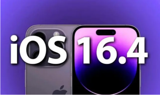 托克托苹果14维修分享：iPhone14可以升级iOS16.4beta2吗？ 