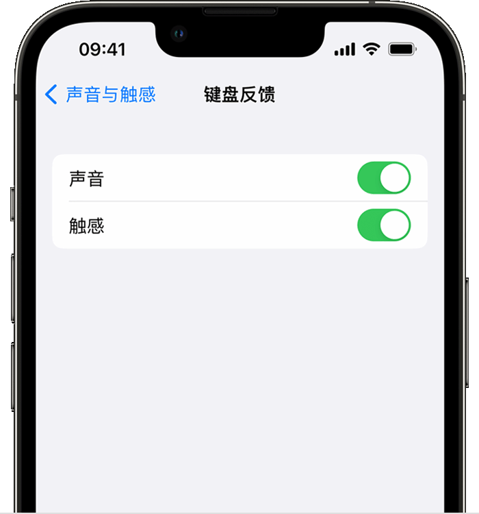 托克托苹果14维修店分享如何在 iPhone 14 机型中使用触感键盘 