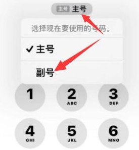 托克托苹果14维修店分享iPhone 14 Pro Max使用副卡打电话的方法 