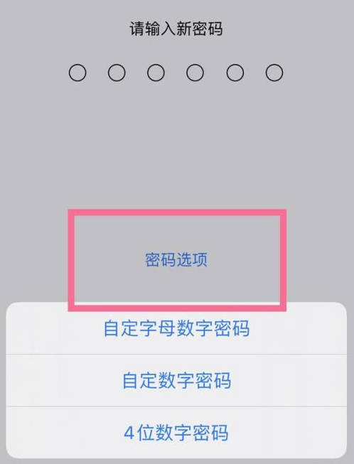 托克托苹果14维修分享iPhone 14plus设置密码的方法 