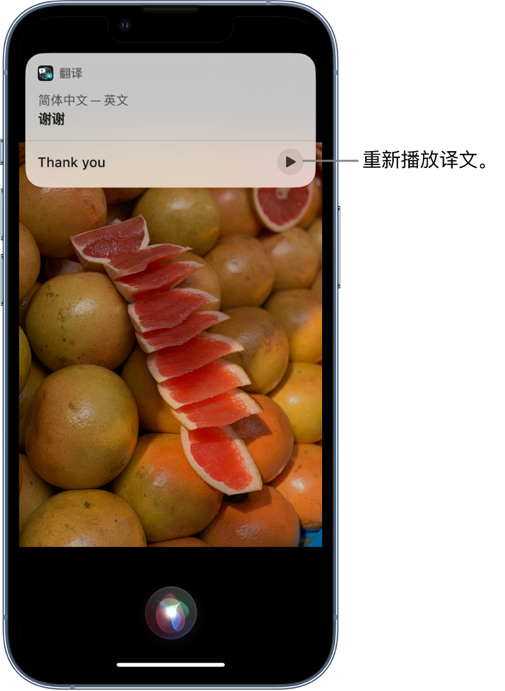 托克托苹果14维修分享 iPhone 14 机型中使用 Siri：了解 Siri 能帮你做什么 