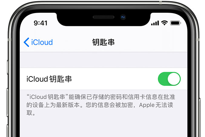 托克托苹果手机维修分享在 iPhone 上开启 iCloud 钥匙串之后会储存哪些信息 