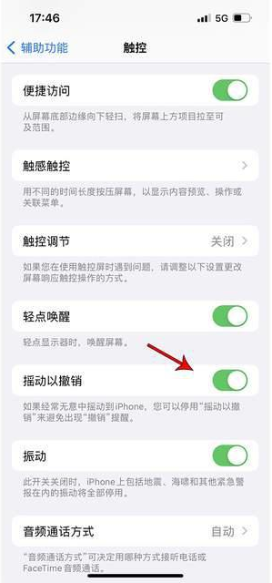 托克托苹果手机维修分享iPhone手机如何设置摇一摇删除文字 