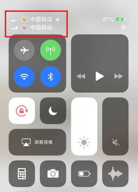 托克托苹果手机维修分享为 iPhone 12 双卡设置标签 